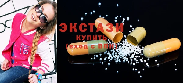 СК Ельня
