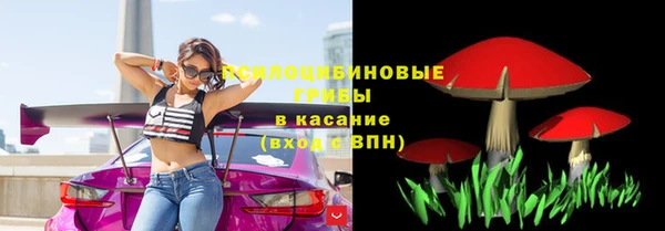 мяу мяу мука Заводоуковск