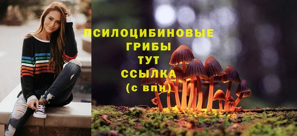 амфетамин Алексеевка