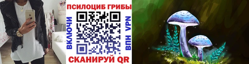 Галлюциногенные грибы Psilocybine cubensis  купить наркотик  Пустошка 