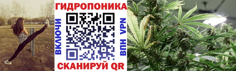 Шишки марихуана семена Пустошка